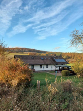 Ferienhaus Willingen Diemelsee